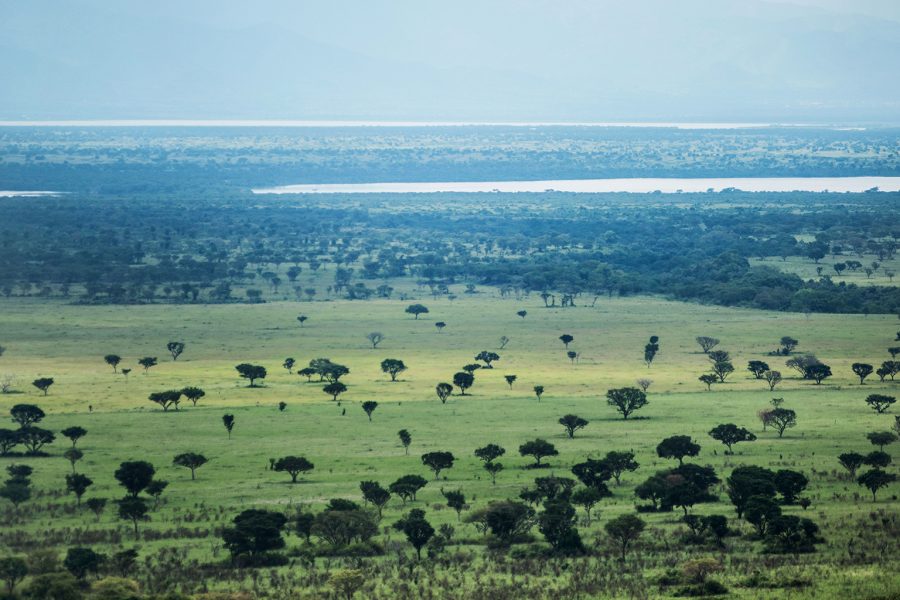 Queen Elizabeth National Park Uganda | Wildlife Safaris & Kazinga Channel