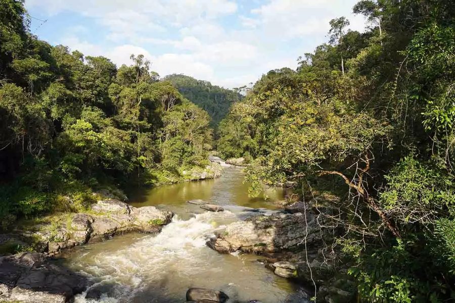Ranomafana National Park