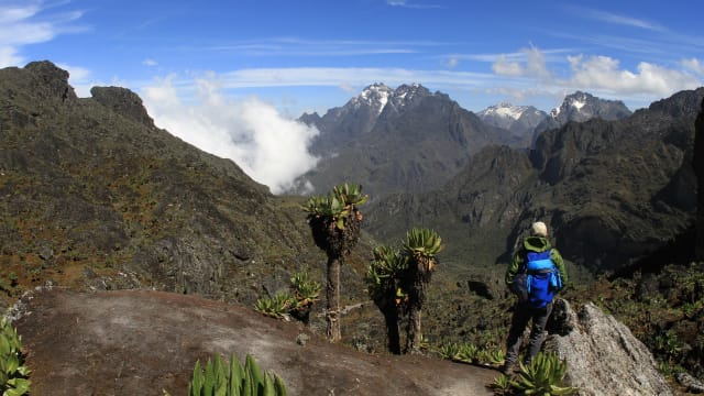 Rwenzori Mountains National Park