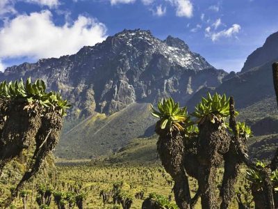 Rwenzori National Park