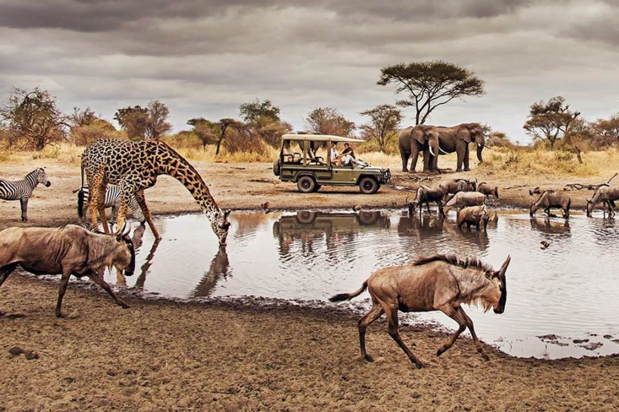 Serengeti National Park