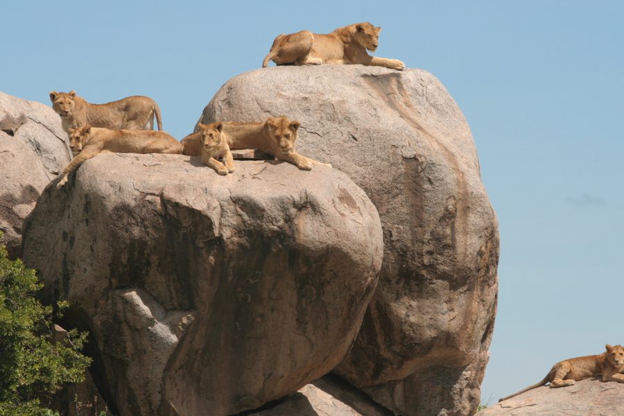Serengeti National Park