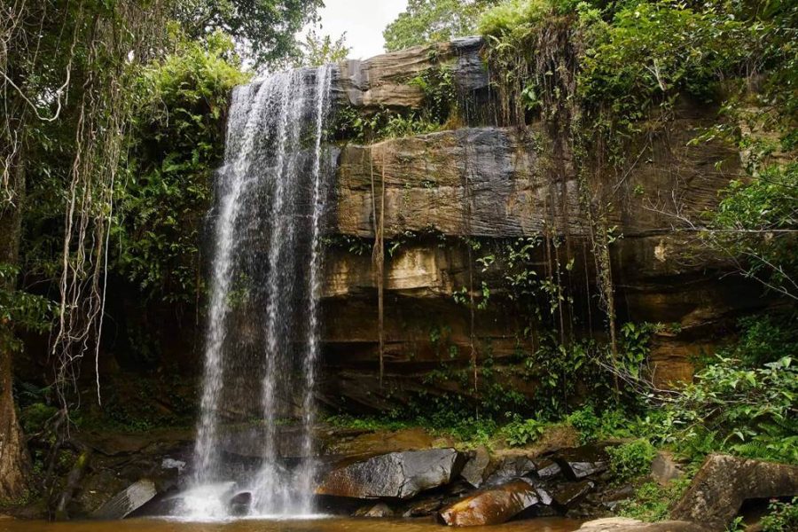 Shimba Hills National Reserve