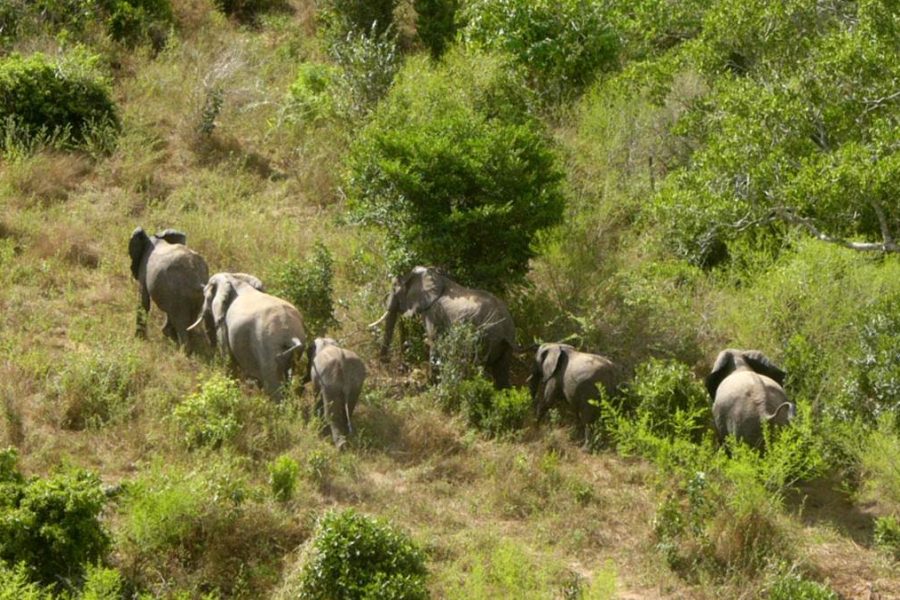 Shimba Hills National Reserve