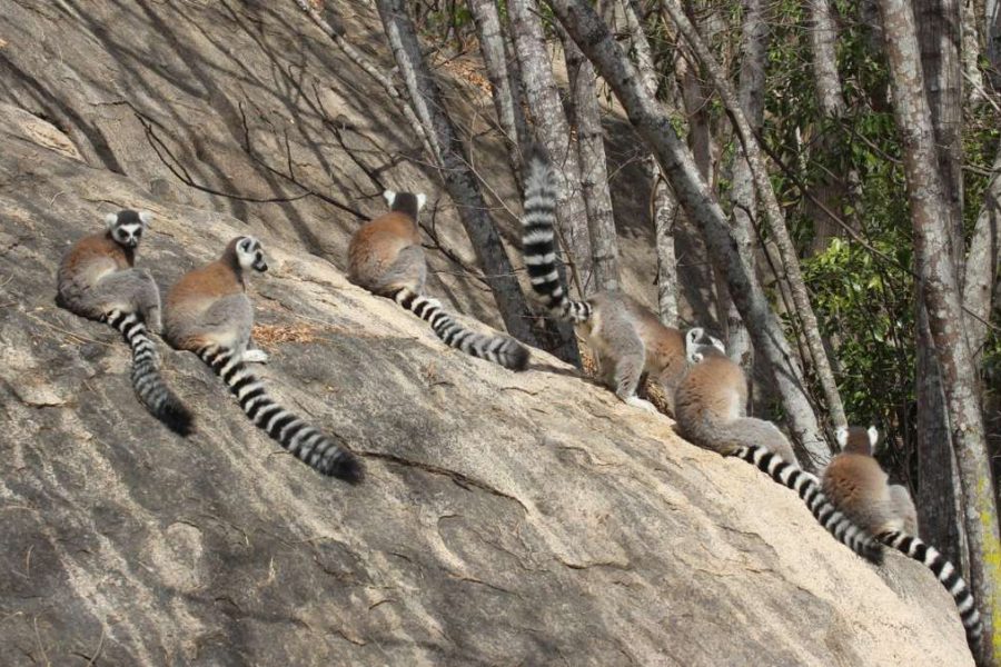 Madagascar RN7 Tour