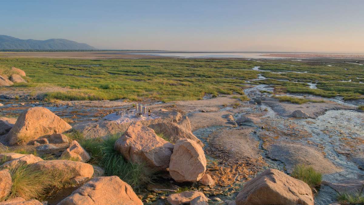 Tanzania budget safari
