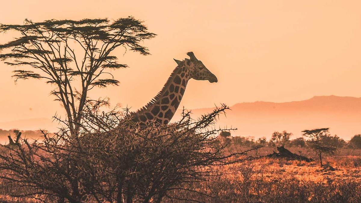 Things To experience in South Africa
