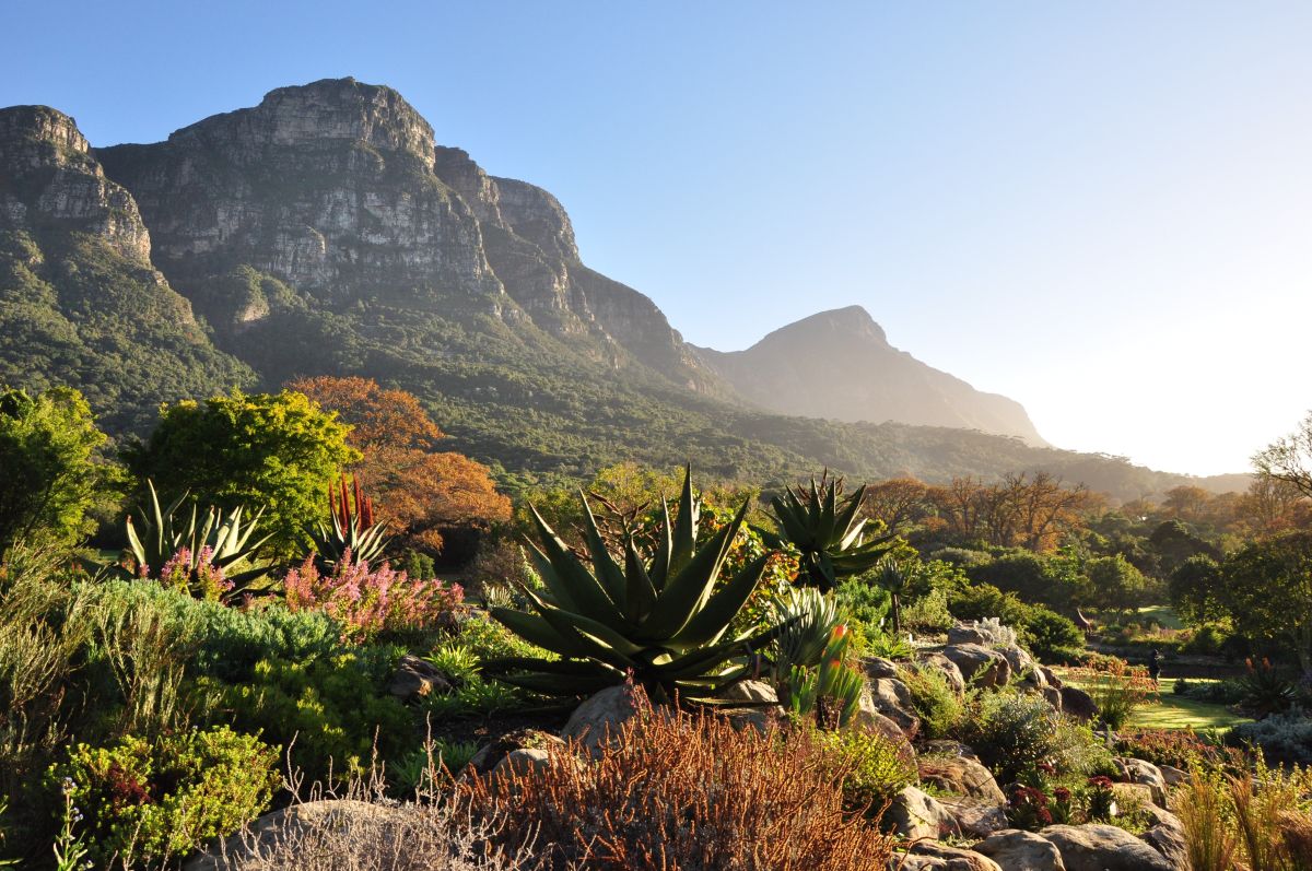 Things To experience in South Africa