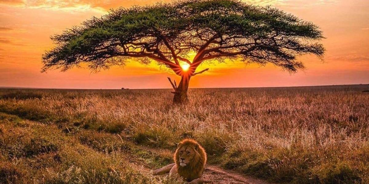 Things to Do in Tanzania