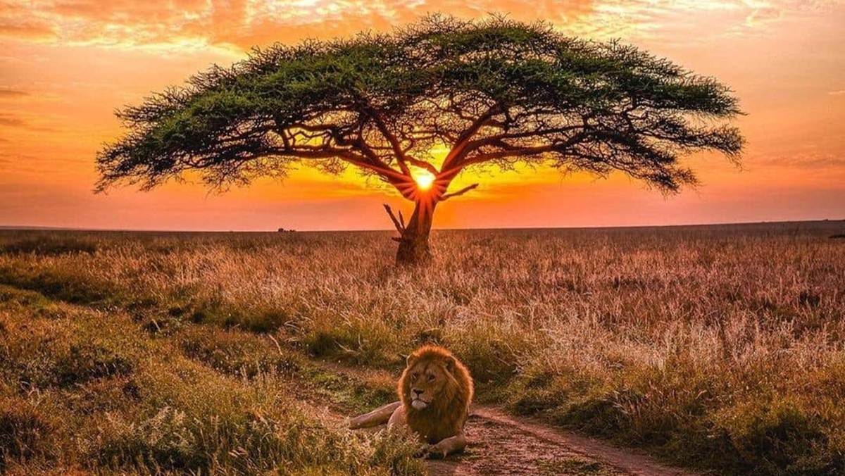 Things to Do in Tanzania