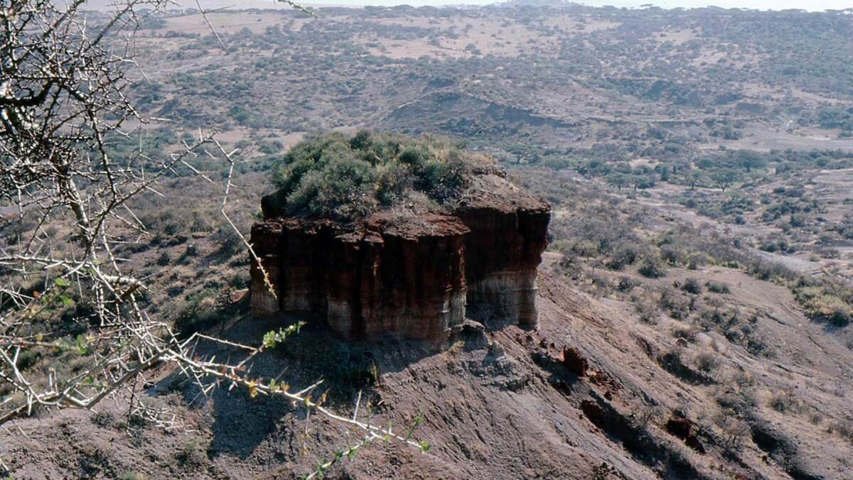 Things to Do in Tanzania