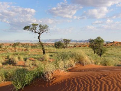 Tok-Tokkie-Trails-Tour-11 Tok Tokkie Trail Tour