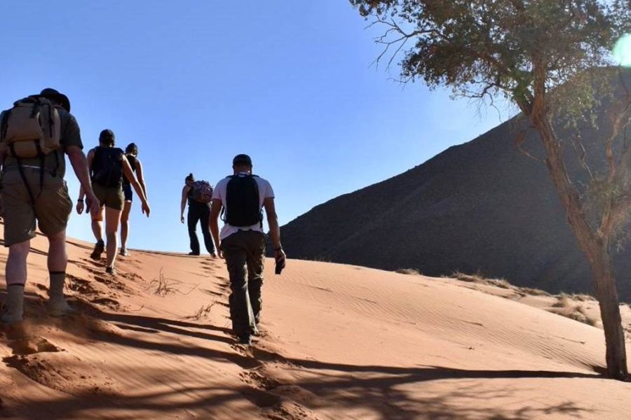 Tok Tokkie Trail Tour