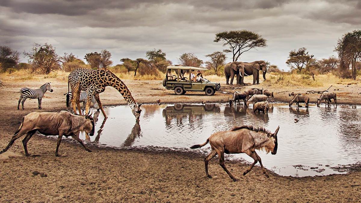 Top Tanzania Attractions
