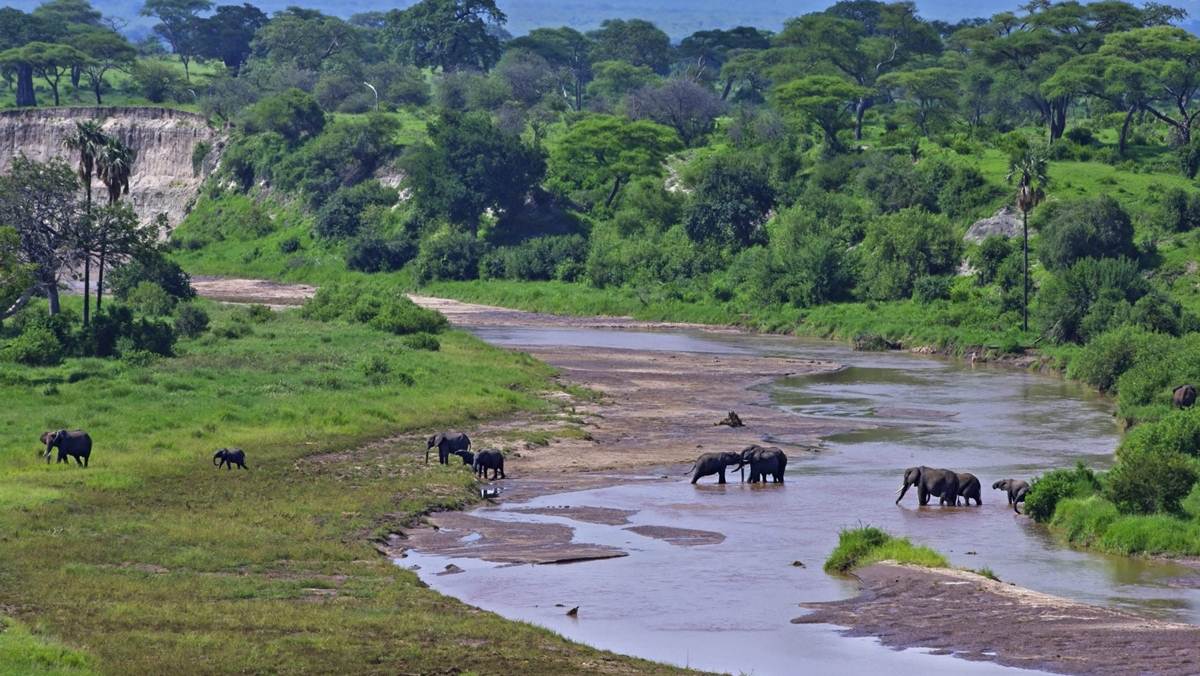 Top Tanzania Attractions