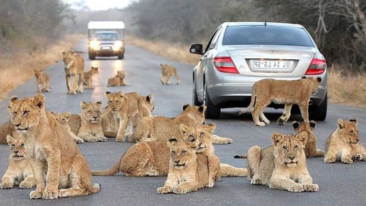 Tourist Attractions in South Africa