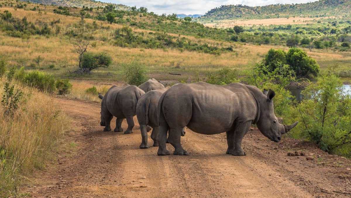 Tourist Attractions in South Africa