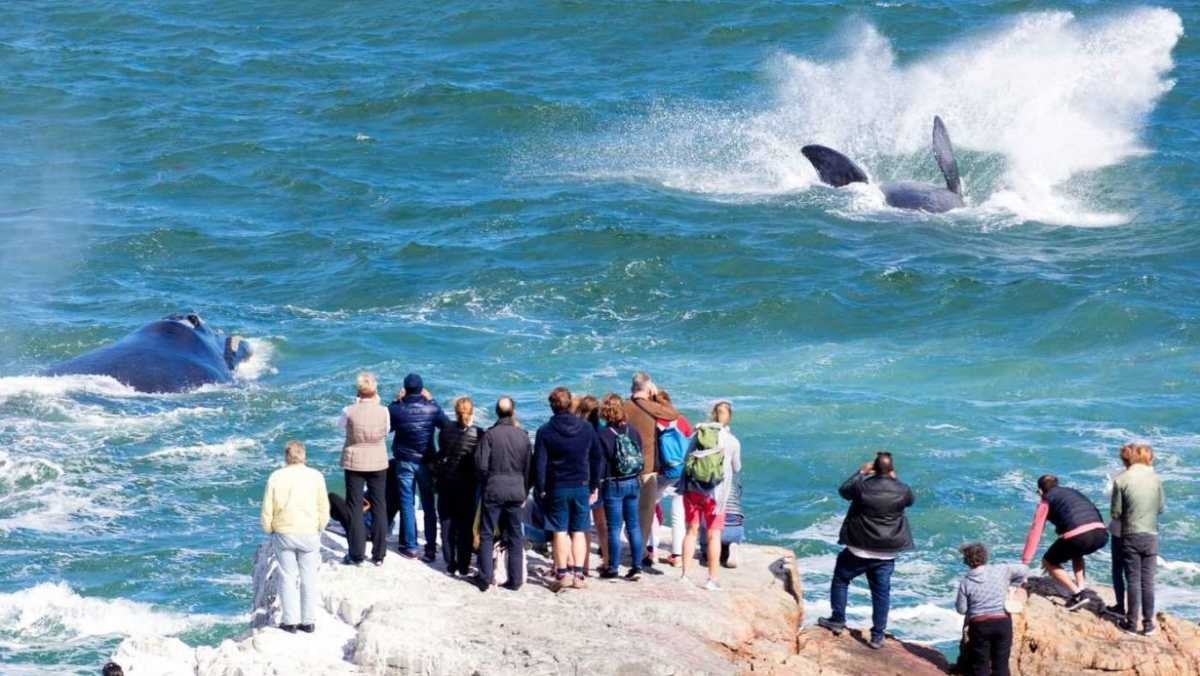 Tourist Attractions in South Africa