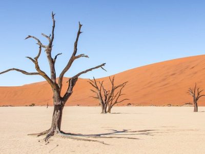 5 Day Namibia Desert and Coast Safari