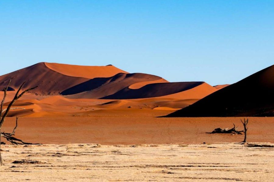 7 Day Trip Namibia Safari