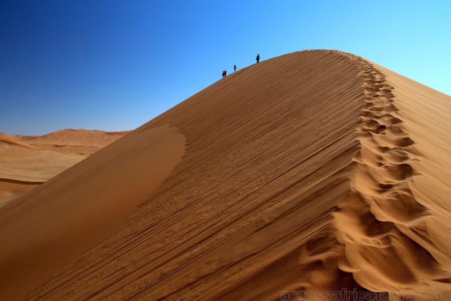 7 Day Trip Namibia Safari