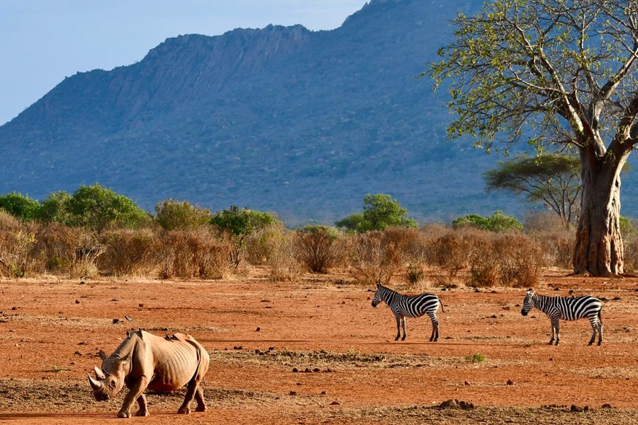 Tsavo West National Park