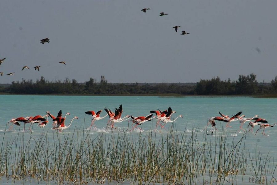 Tsimanampetsotsa National Park