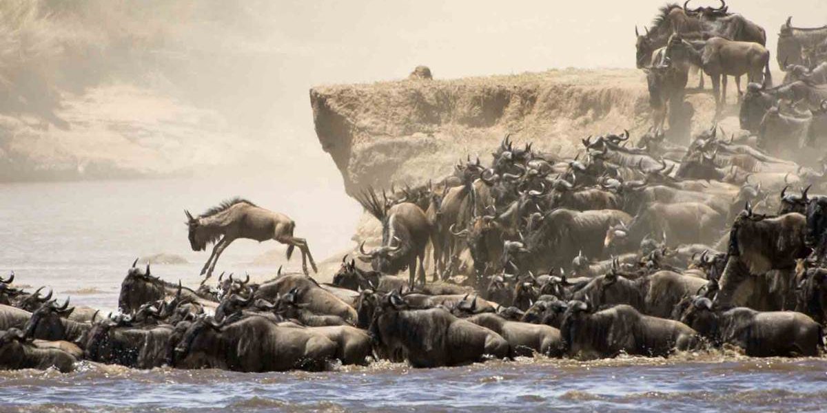 When to Go to Tanzania