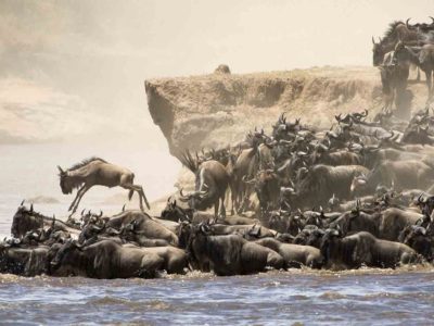 When-to-Go-to-Tanzania-2 When to Go to Tanzania