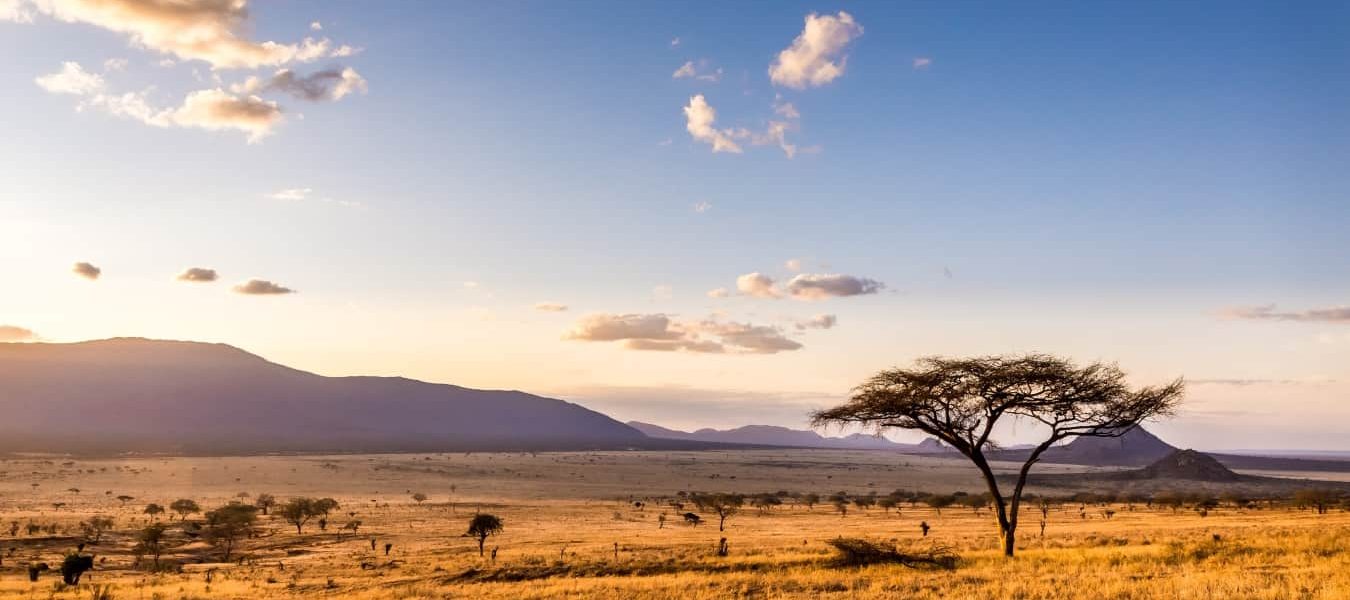 When to go on Africa safari