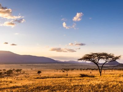 When to go on Africa safari