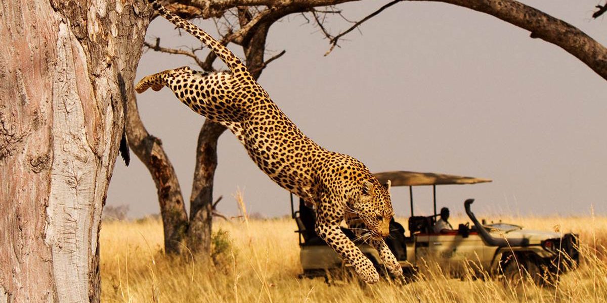 Why You Should Visit Rwanda