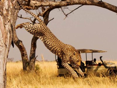 Why-You-Should-Visit-Rwanda-1 Why You Should Visit Rwanda