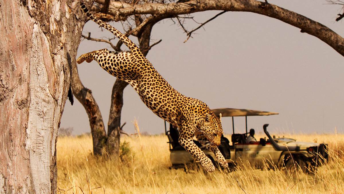 Why You Should Visit Rwanda