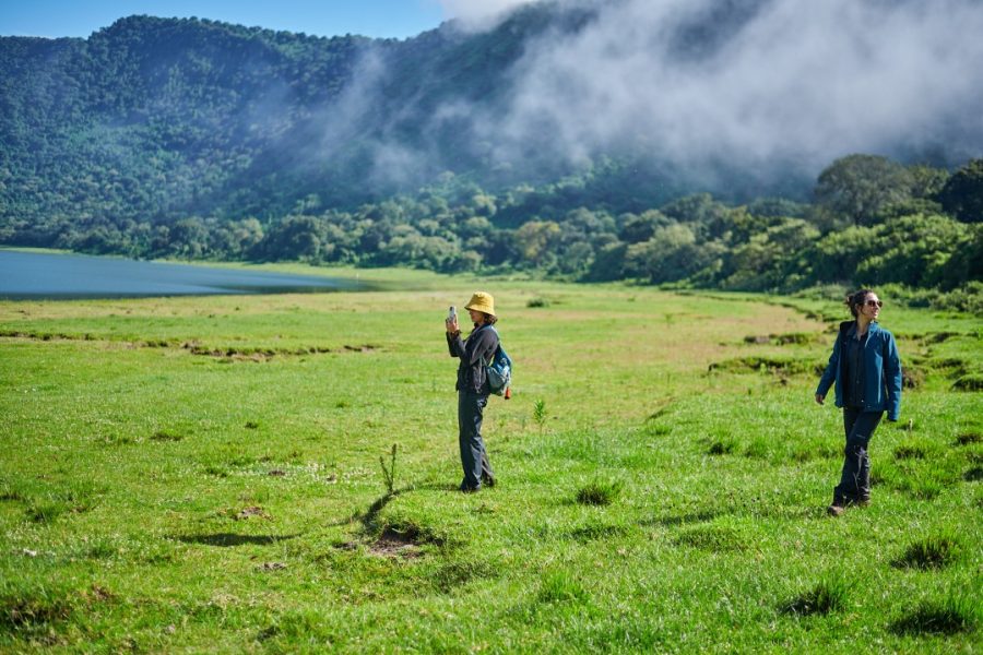 2 Days Arusha National Park Safari