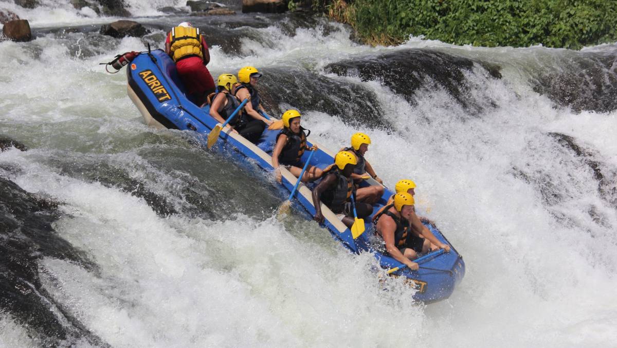 Best Guide to African Safari Tour in Uganda