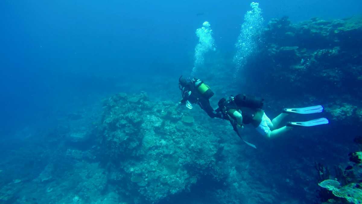 Best Things to Do in Mozambique