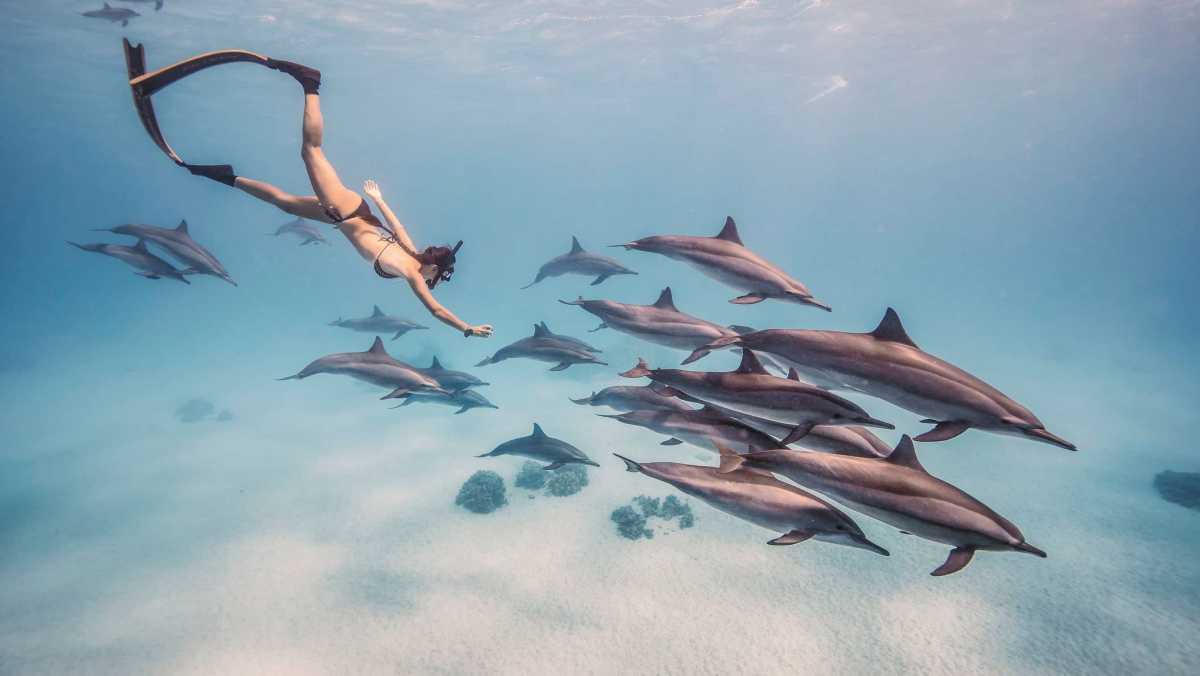 Best Things to Do in Mozambique