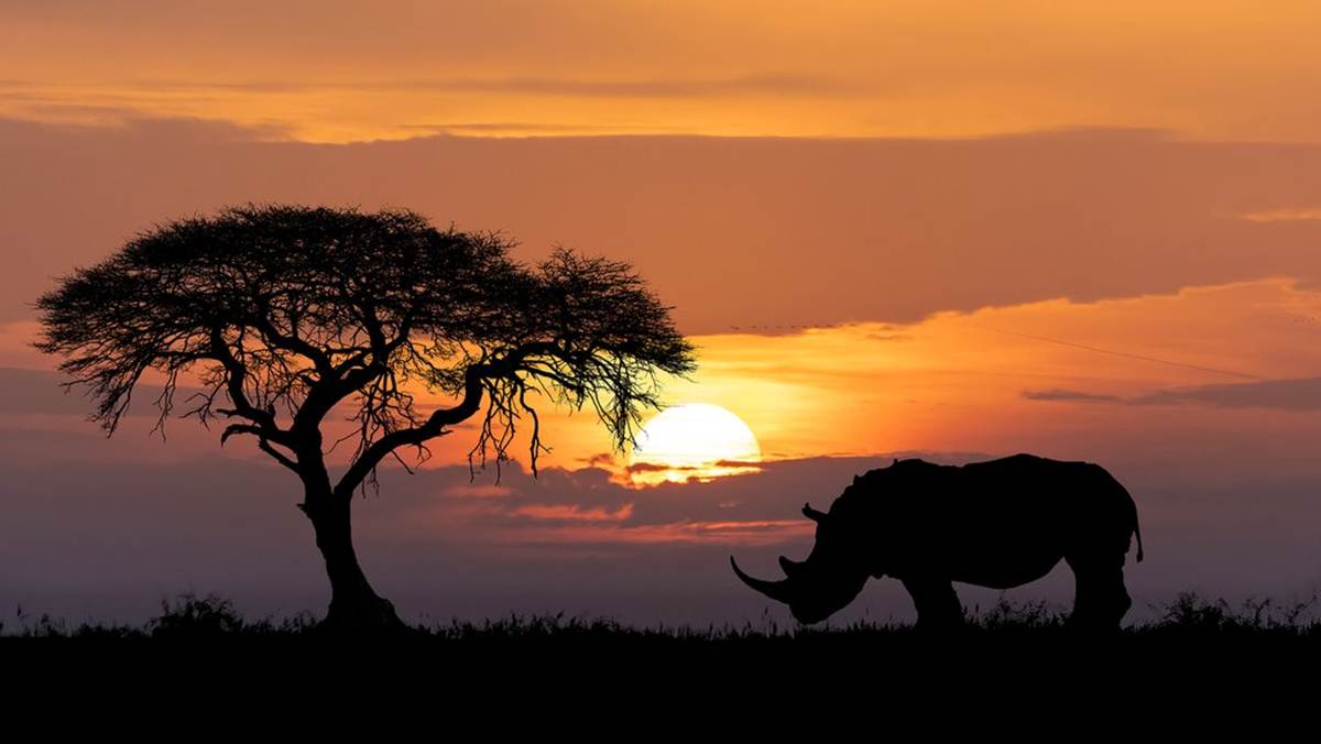 Best time to go to South Africa