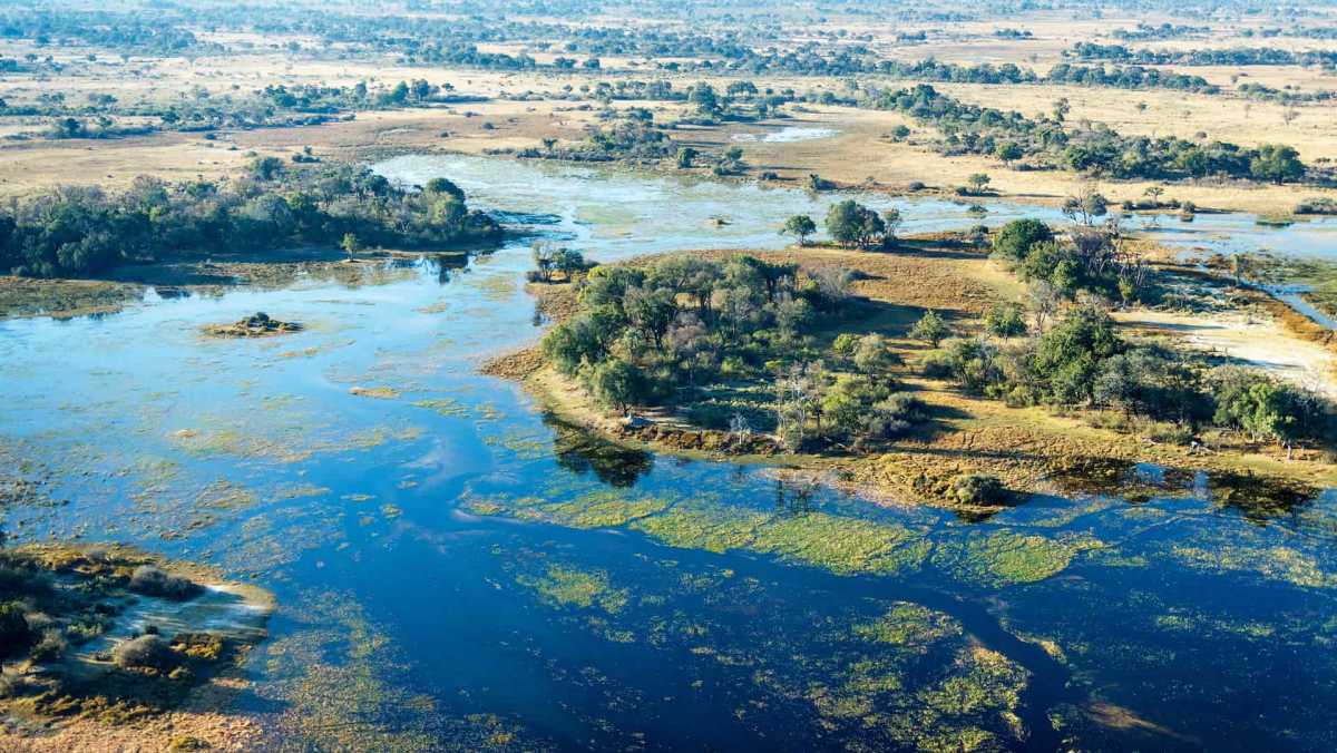 Best Time to Visit Botswana
