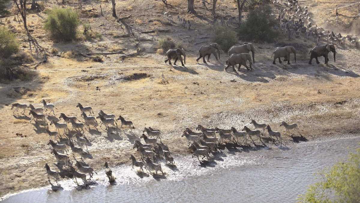 Best Time to Visit Botswana