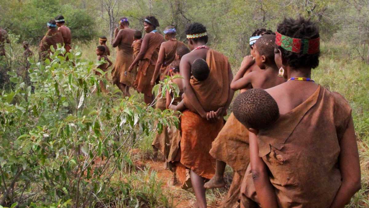 Best Time to Visit Botswana