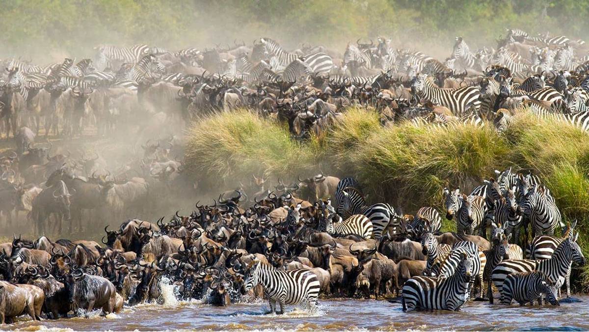 best time to visit kenya
