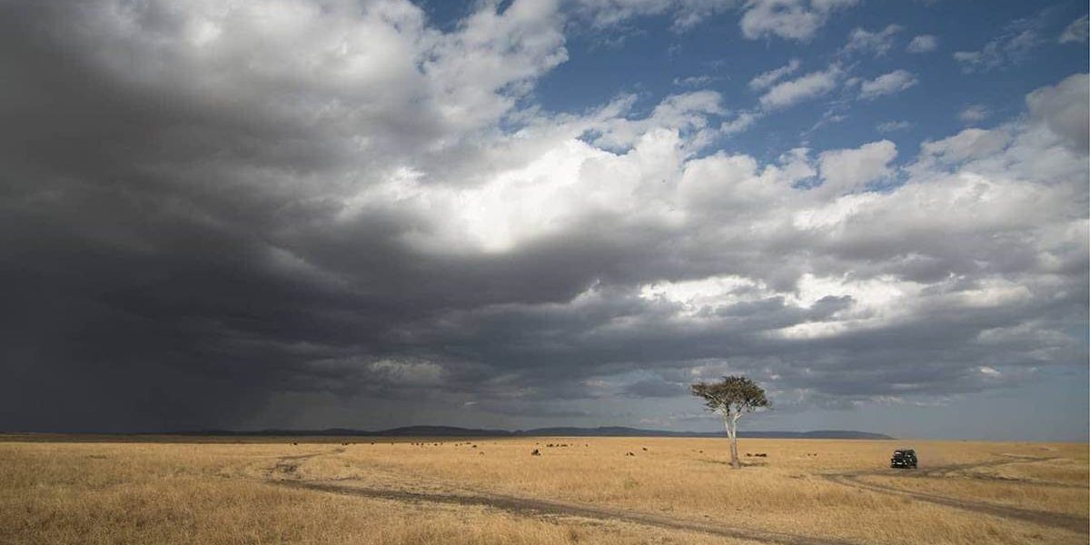 Best time to visit Kenya