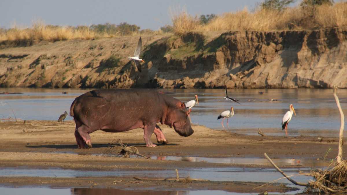 Best Time to Visit Zambia