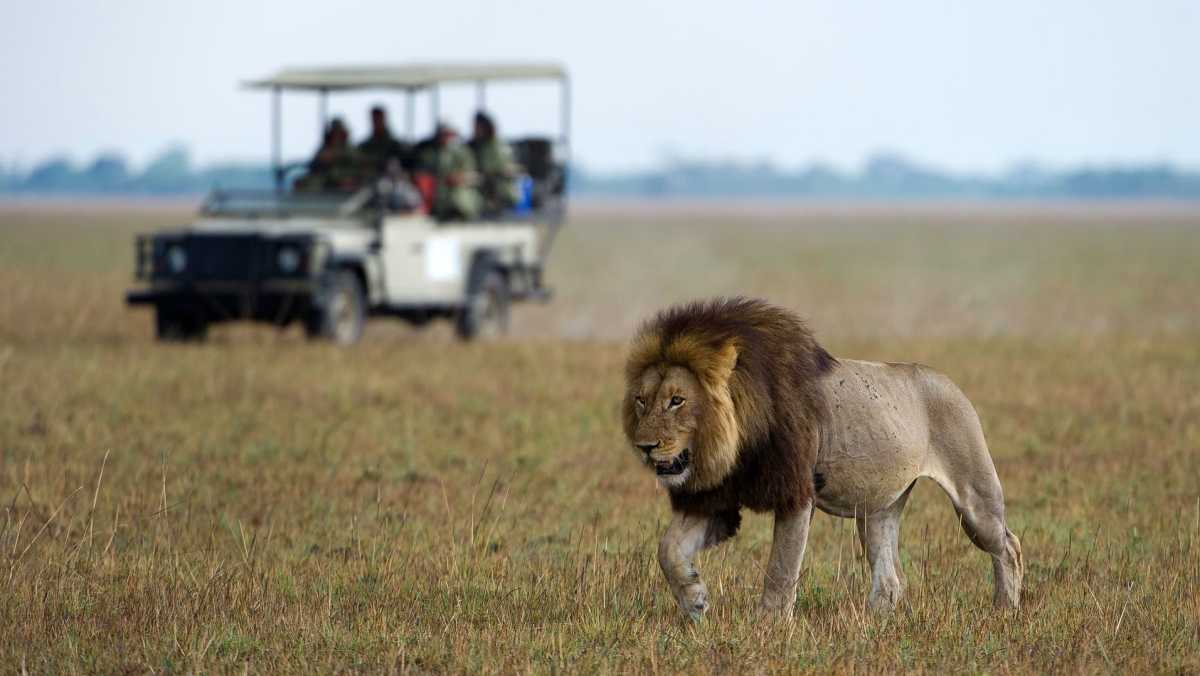 Best Tourist Attractions in Zambia