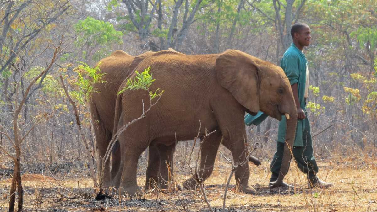 Best Tourist Attractions in Zambia