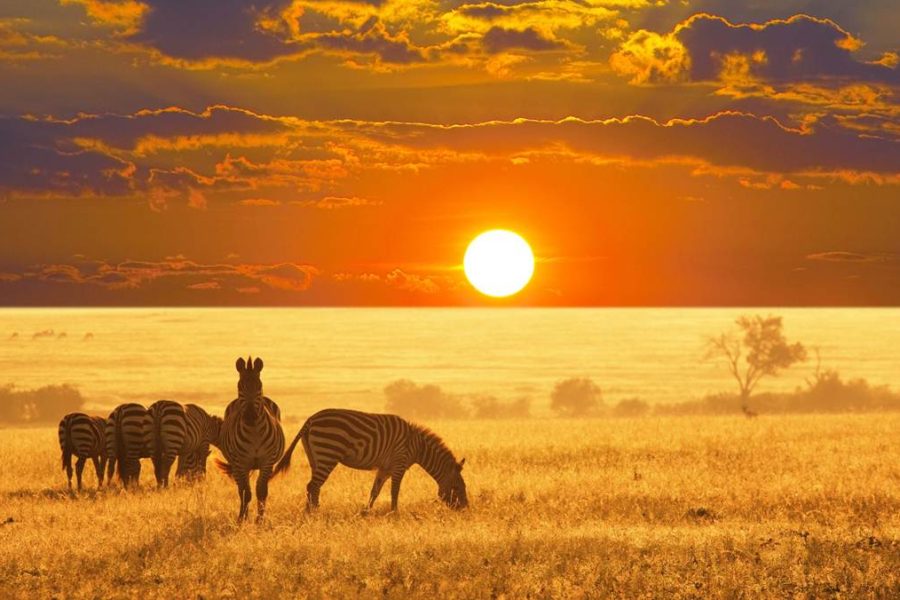 Etosha National Park