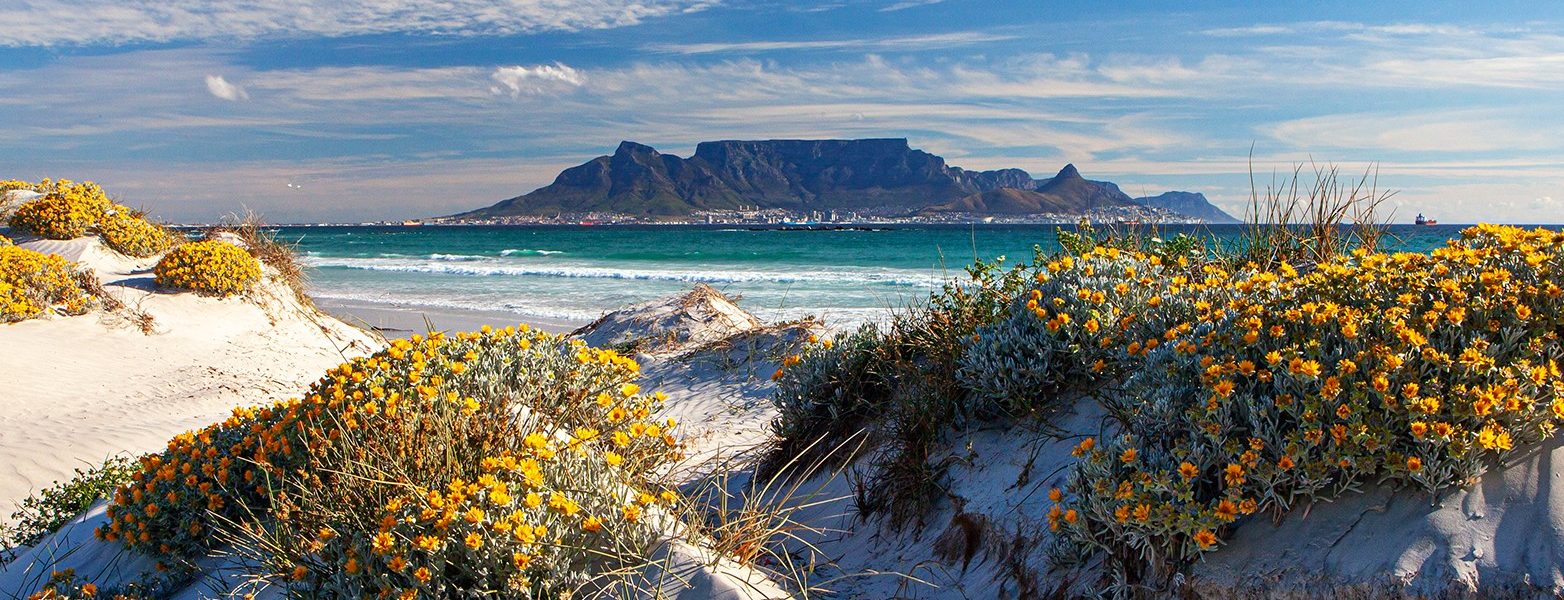 What to Know before you Go to South Africa