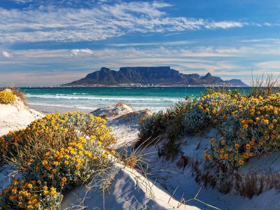 go-to-south-africa-what-to-know What to Know before you Go to South Africa